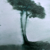 Les Paysages de Delpy